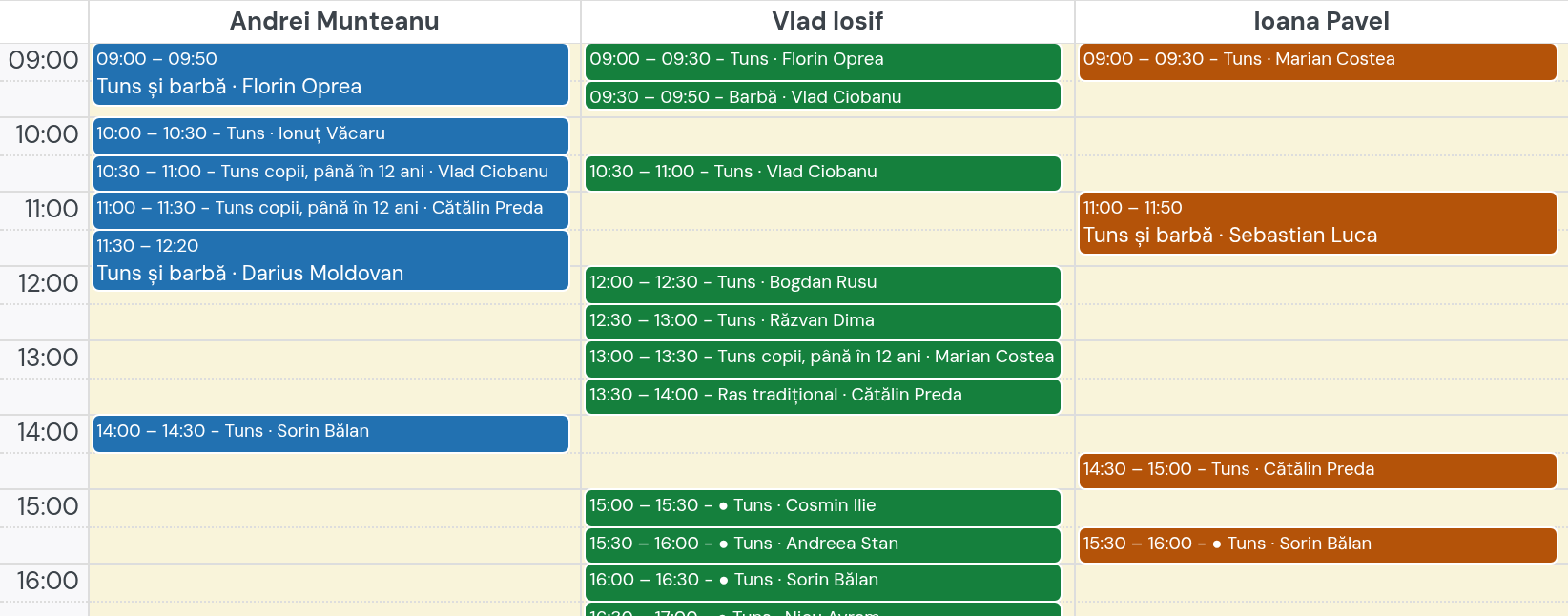 Calendarul zilei cu trei coloane, Andrei, Vlad și Ioana, și programările fiecăruia de la 9 la 16