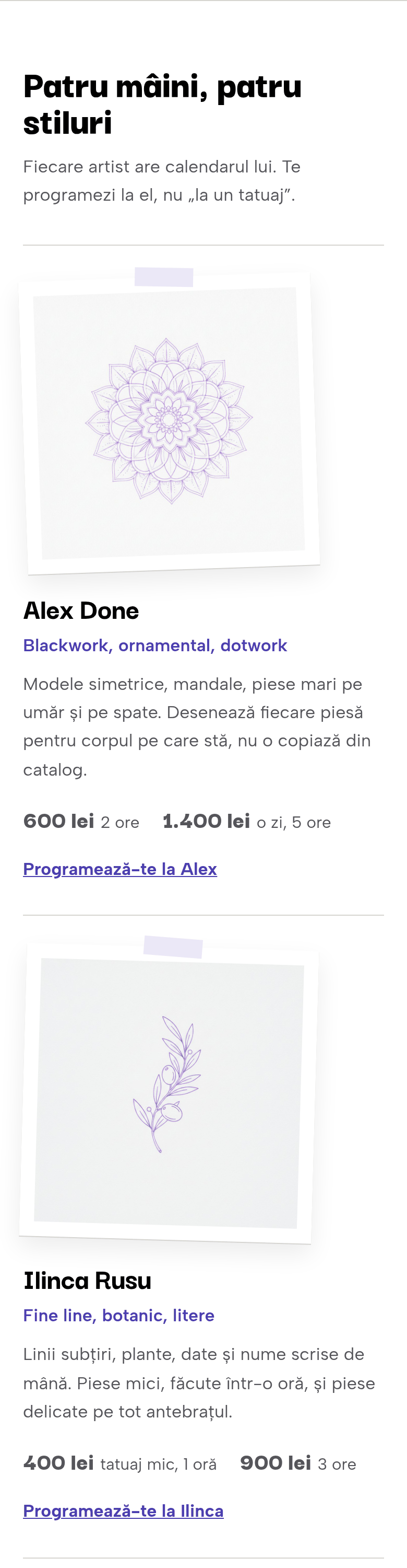 Site-ul studioului: „Patru mâini, patru stiluri”, cu stencilul lui Alex și al Ilincăi